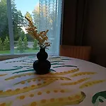 Aengsliden Lodge Seitlax